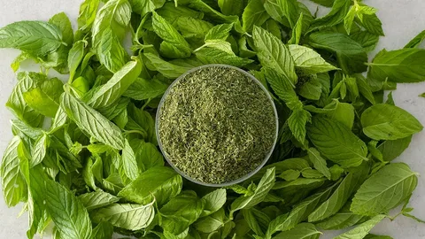 تصویر 4 از نعنا خشک محلی با برگ های طبیعی و طعم اصیل